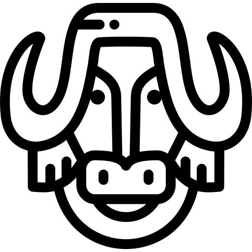 Bison