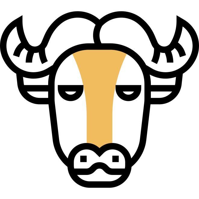 Buffalo