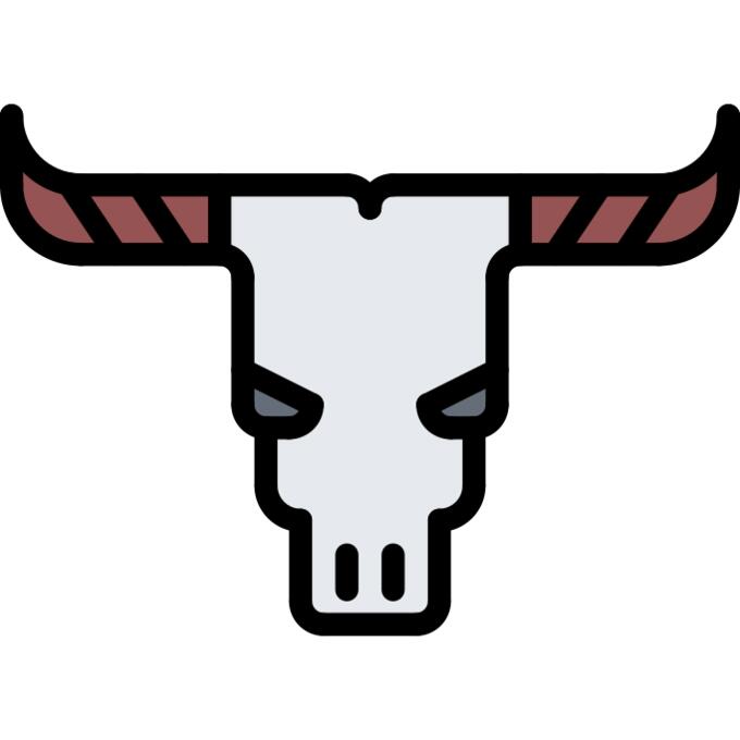 Cattle skull
