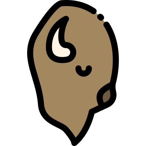 Bison