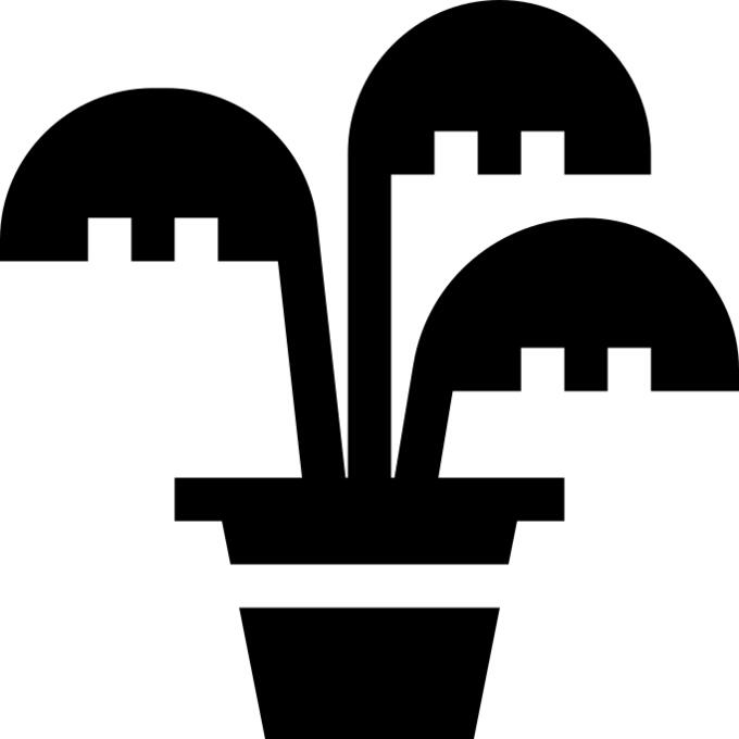 Bamboo