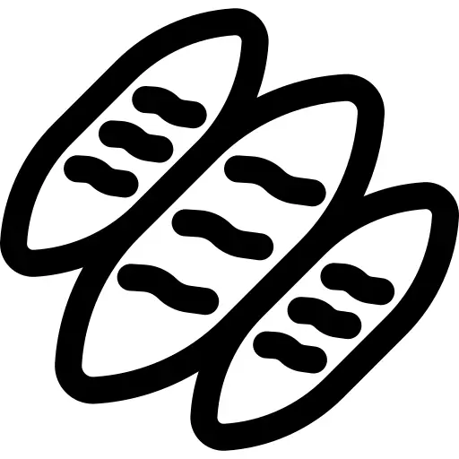 Bread