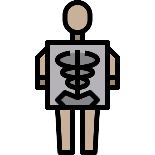 X ray