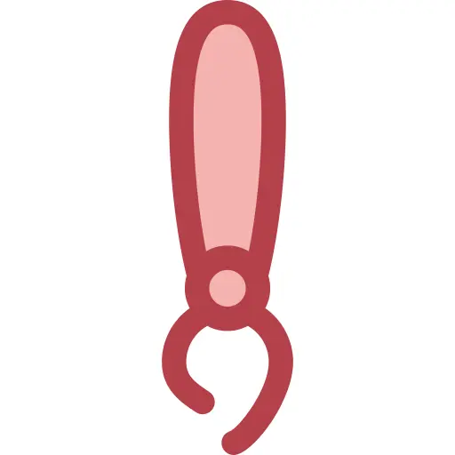 Paint brush