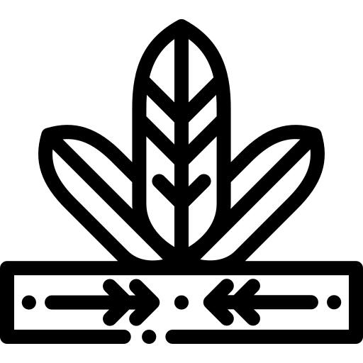Headdress