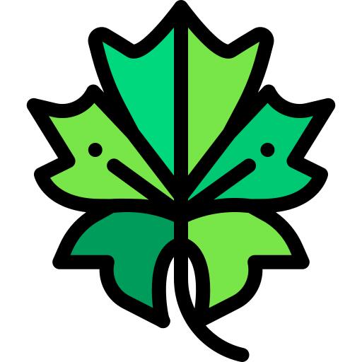 Leaf