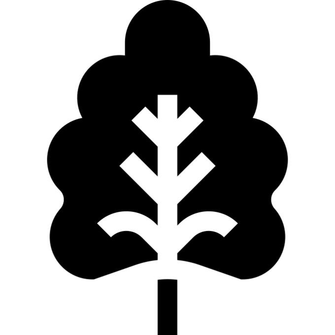 Oak leaf