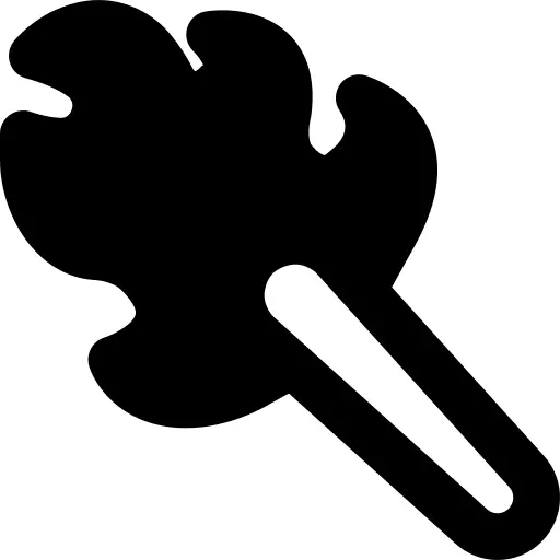Torch