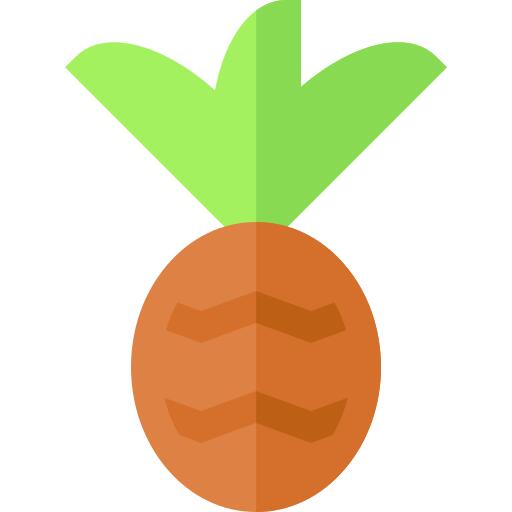 菠萝