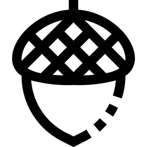 橡子