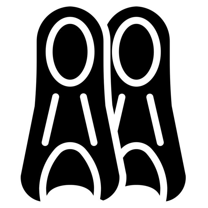 Flippers