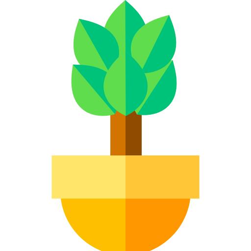 Plant
