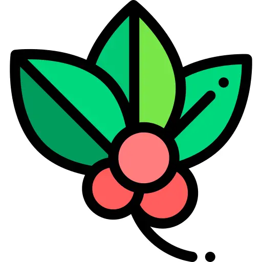 Mistletoe