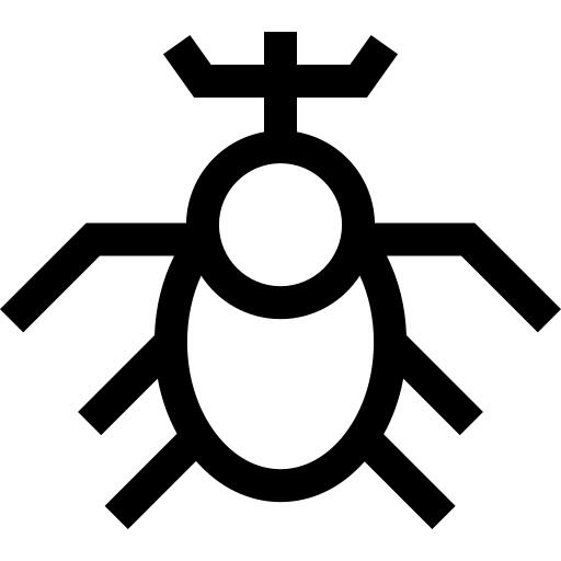 Beetle