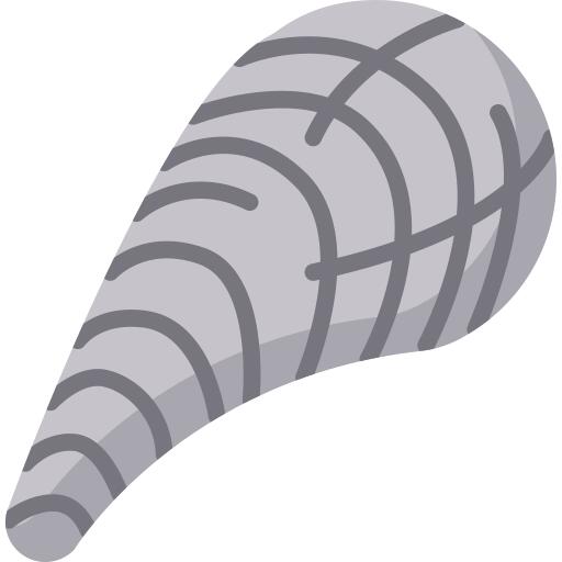 Seashell