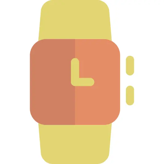 Wristwatch