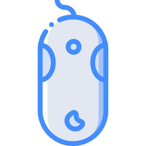 Mouse