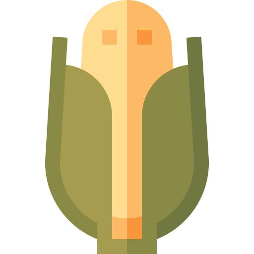 Corn