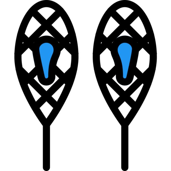 Snowshoes