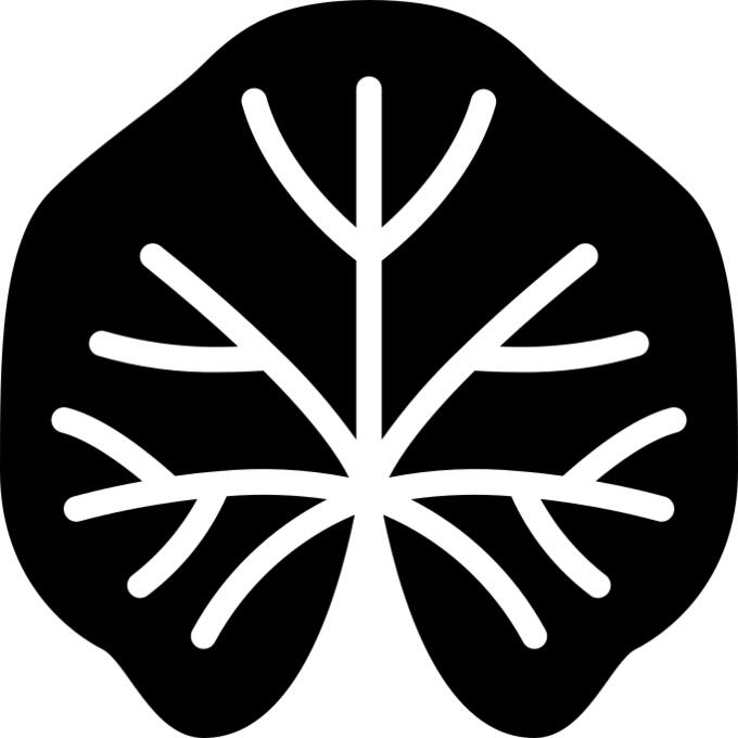 锦葵