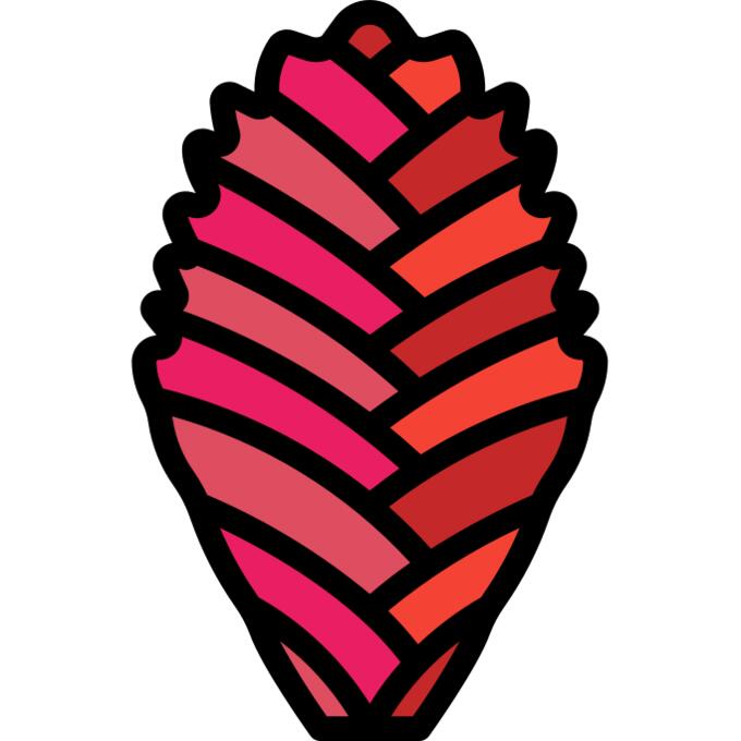 凤梨科