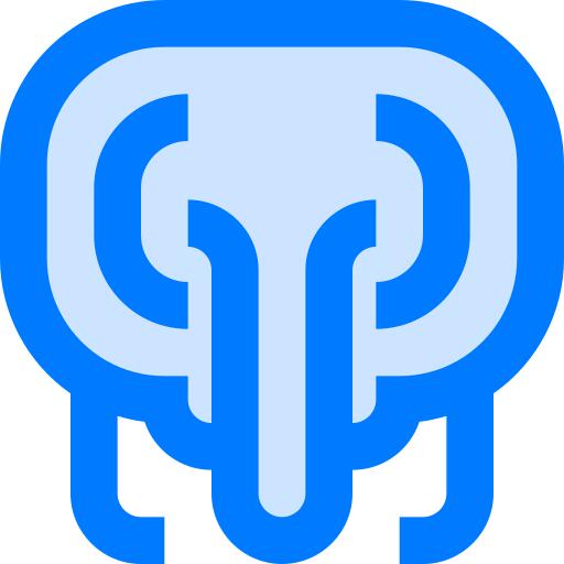 象