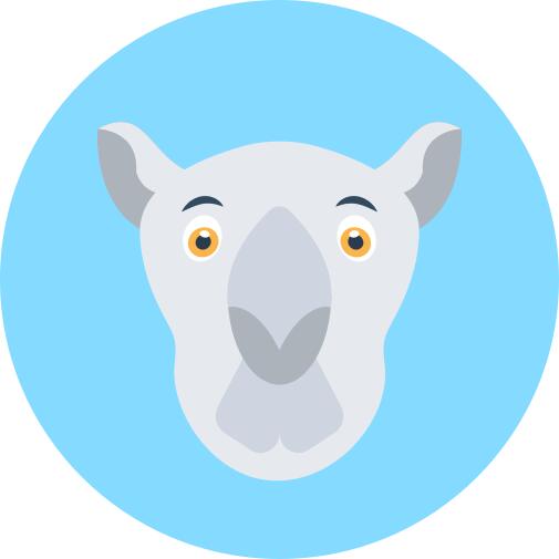 Dromedary