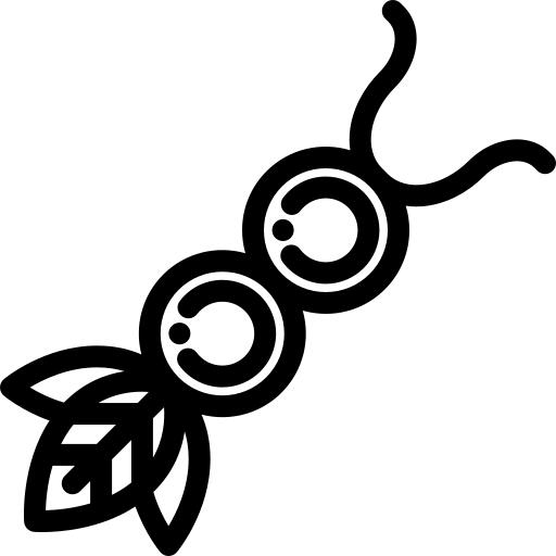 项链