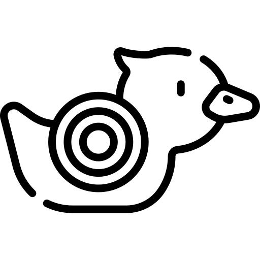 Shoot duck