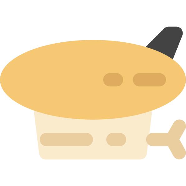 Airship