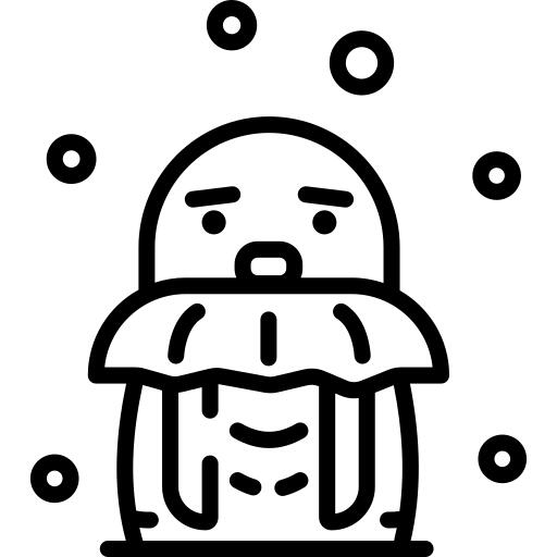 海狮