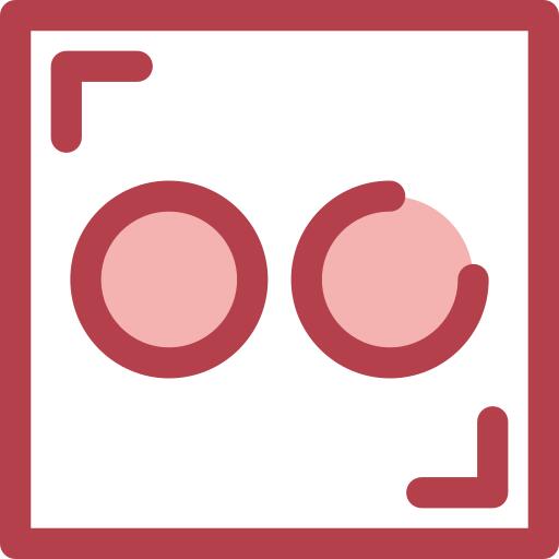 Flickr的