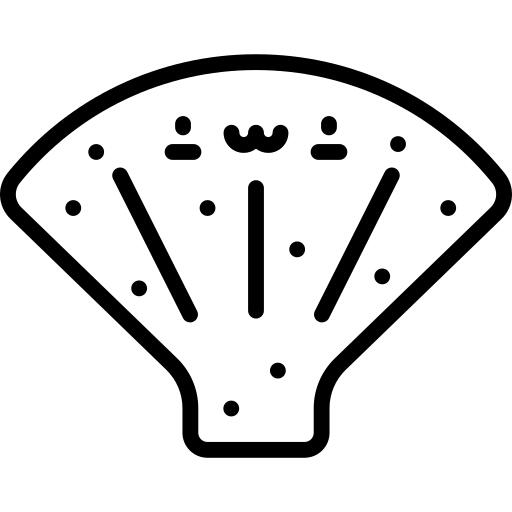 贝壳