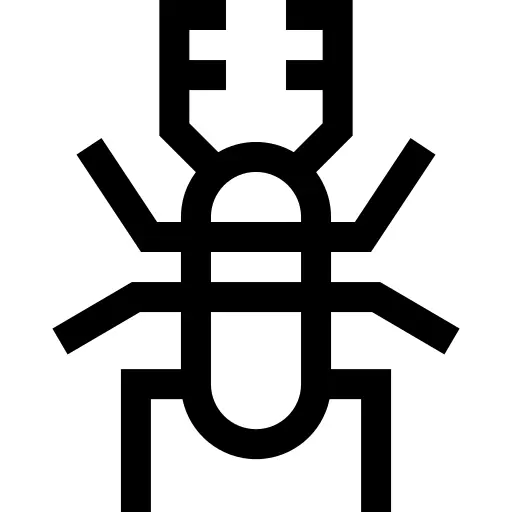 Beetle