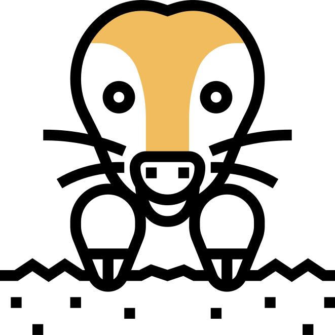 痣