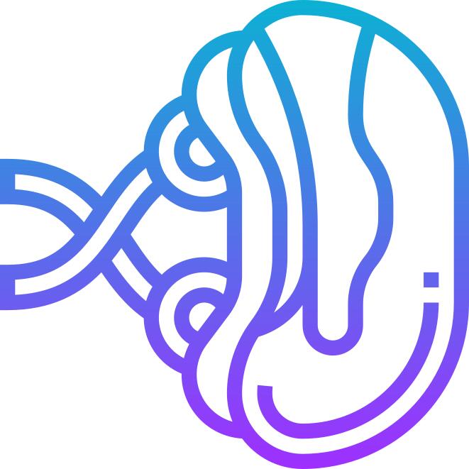 Spleen