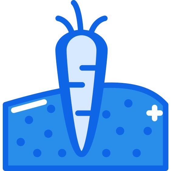 Carrot