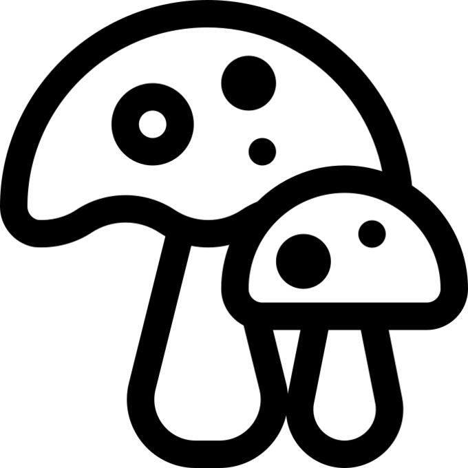 Mushroom
