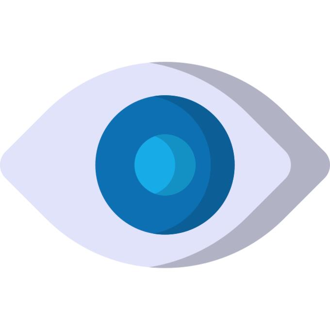 Vision