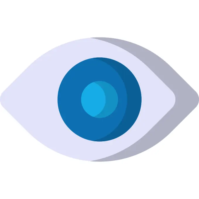 Vision
