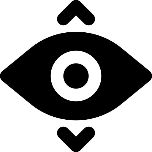 Vision