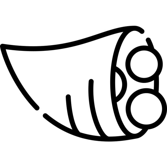Cornucopia
