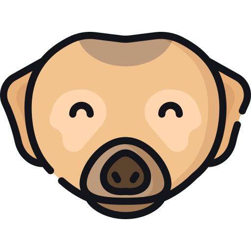 狐獴