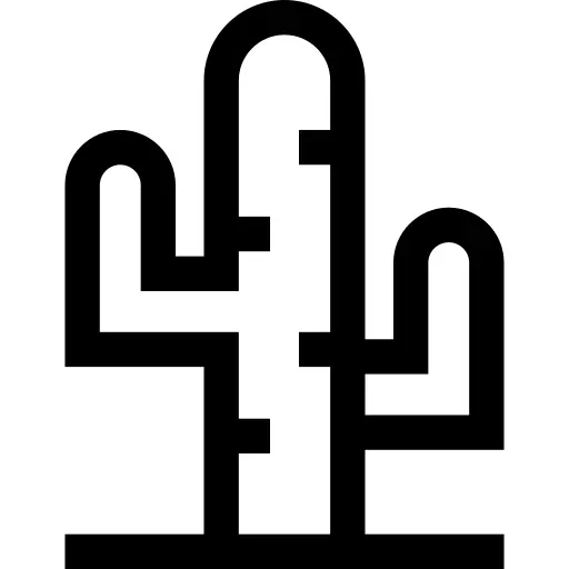 仙人掌