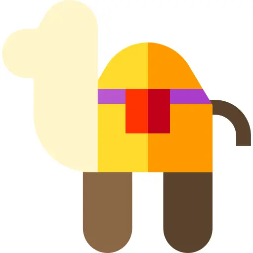 Camel