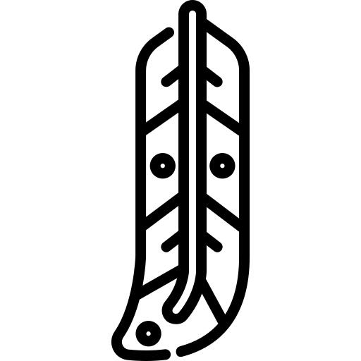 羽毛