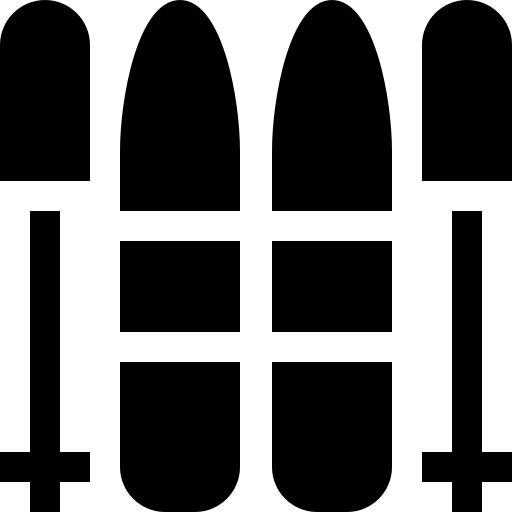 Ski