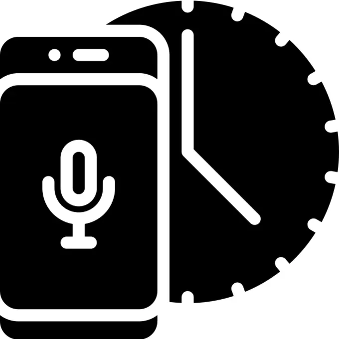 Voice assistant