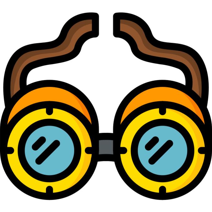 Goggles