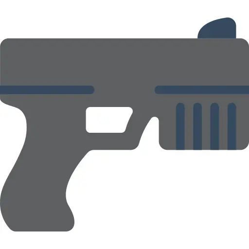 Gun
